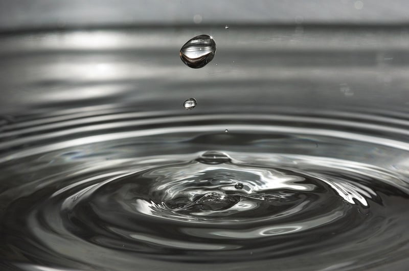 Drip Irrigation