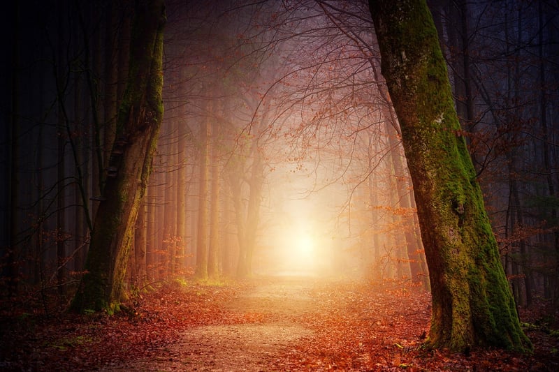 Whimsical Pathway